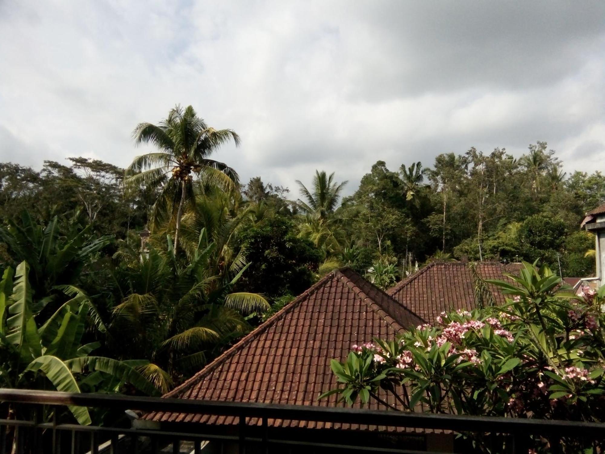 Manada Guesthouae Bed & Breakfast Ubud Eksteriør bilde