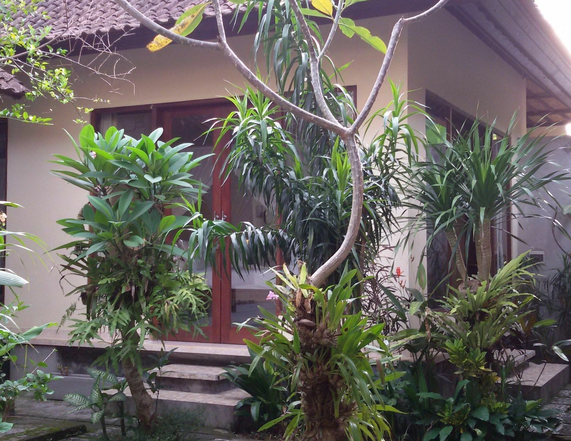 Manada Guesthouae Bed & Breakfast Ubud Eksteriør bilde